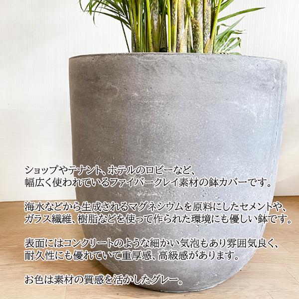 アレカヤシ ヤシの木 観葉植物 10号 大型 ラウンド型 高級鉢カバー付