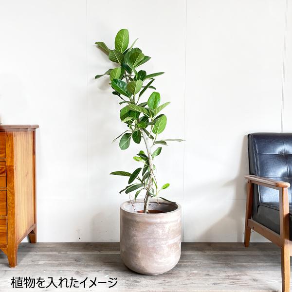 ファイバークレイ 植木鉢 鉢カバー アッシュブラウン 丈夫 観葉植物 おしゃれ 中型 7号鉢 8号鉢 8号 即日出荷_3