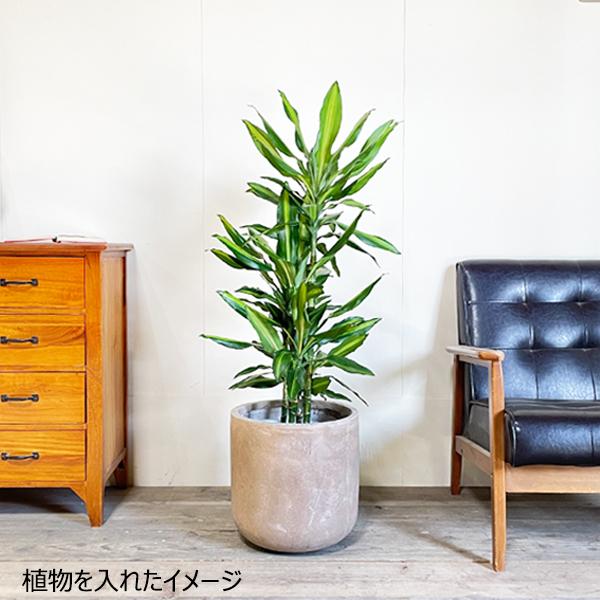 ファイバークレイ 植木鉢 鉢カバー アッシュブラウン 丈夫 観葉植物 おしゃれ 中型 7号鉢 8号鉢 8号 即日出荷_5