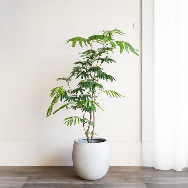 バルーン型 高級鉢カバー 送料無料 観葉植物 おしゃれ 8号 中型