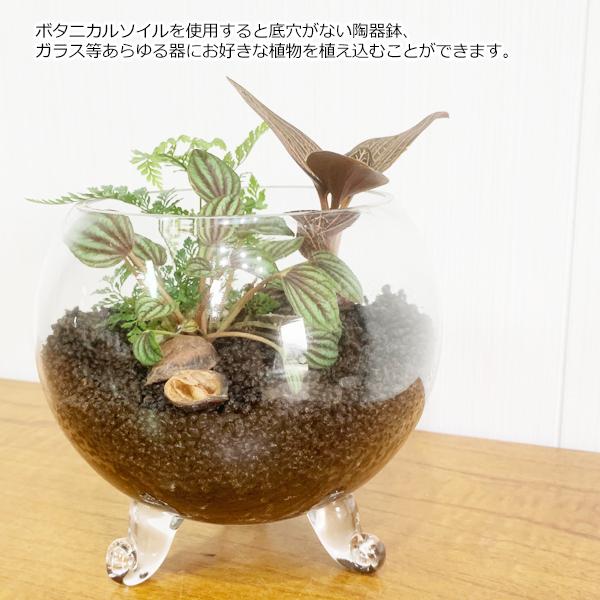 ボタニカルソイル 1Ｌ×２袋 観葉植物 土 虫がわかない 室内 清潔 栄養 黒土 多肉 サボテン 用土 ２Ｌ 即日出荷 送料無料｜pg869｜06