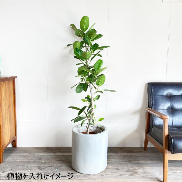 ファイバークレイ 植木鉢 シリンダー型 鉢カバー クリームアイボリー