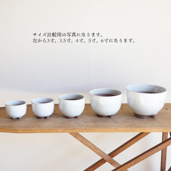 市野伝市鉢 サクラソウ型 4寸 MANOMADE 別注 白 4号 コウロ型 白色
