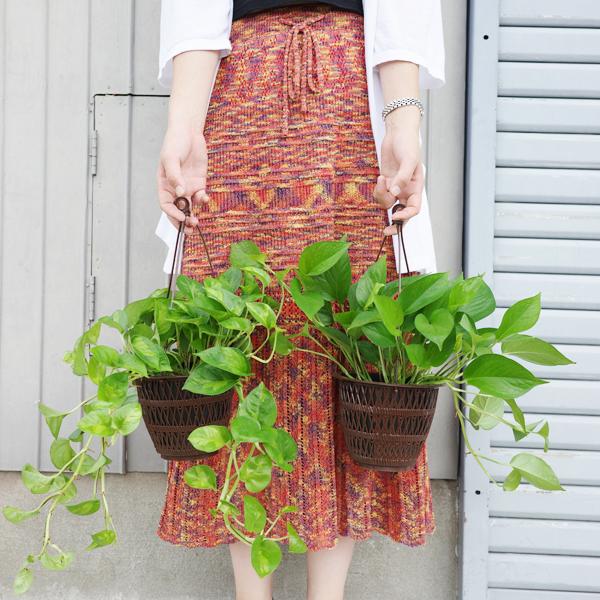 ポトスグローバル特大株【送料無料】 ポトスグローバル 大株 送料無料 鉢のまま発送☆