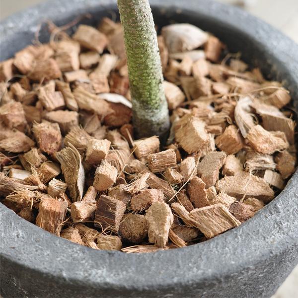 ハスクチップ 50L ヤシの繊維 業務用大袋 観葉植物 室外 室内
