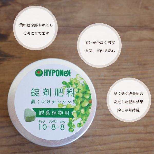 置くだけ簡単肥料 2個セット ハート型 観葉植物用 ハイポネックス