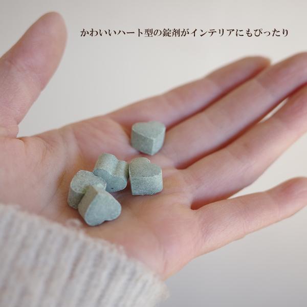 置くだけ簡単肥料 2個セット ハート型 観葉植物用 ハイポネックス