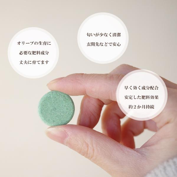 置くだけ簡単肥料 オリーブ用 ハイポネックス 2箱セット hyponex 園芸
