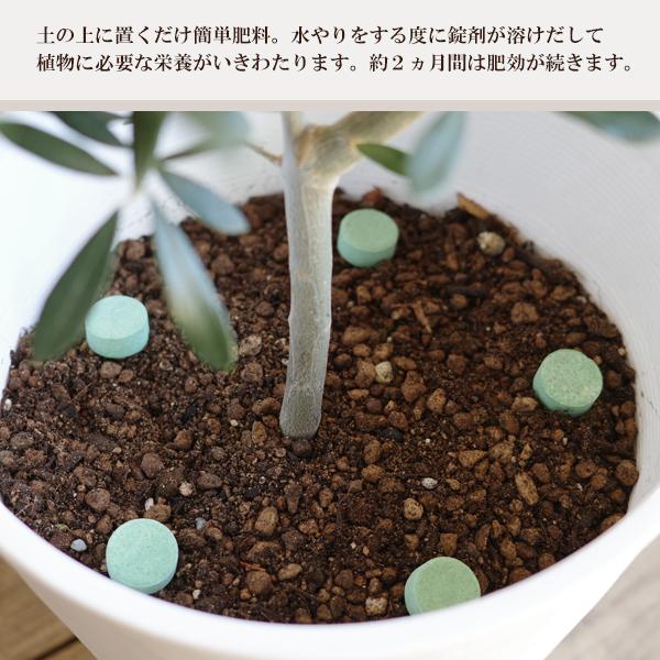 HYPOneX 全用途の植物肥料 5kg×２個セット Amazon.co.jp: ハイポネックスジャパン 液体肥料 ハイポネックス原液 2