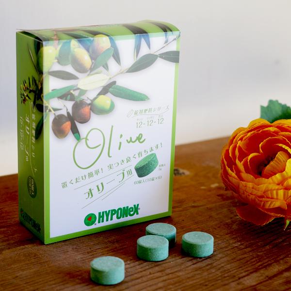 置くだけ簡単肥料 オリーブ用 ハイポネックス hyponex 園芸店推奨 4号