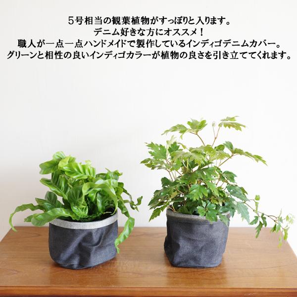 インディゴ デニム鉢カバー オリジナル商品 観葉植物 ポットカバー
