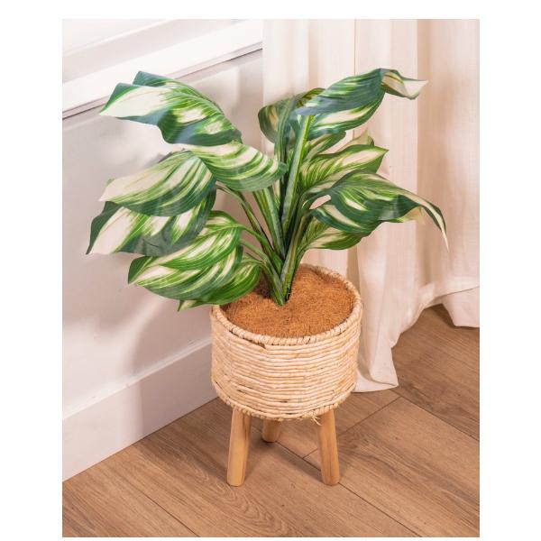 ヤシの繊維 100gx2セット ココヤシファイバー 天然素材 アイディア