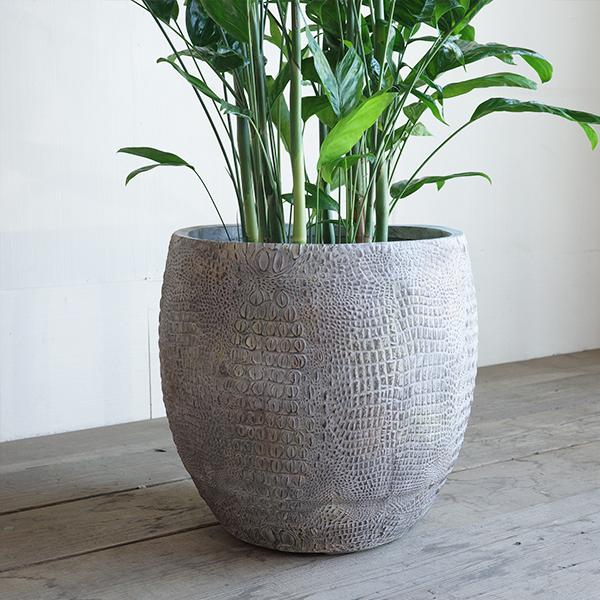 高性チャメドレア ヤシの木 観葉植物 10号 大型 立体模様 デザイナーズ
