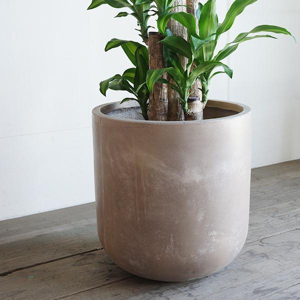 極美 瘤木 手付き大鉢 天然木 一点物 菓子鉢 花器 幸福の木 マッサン 観葉植物 大型 10号 高級鉢カバー付き ファイバー
