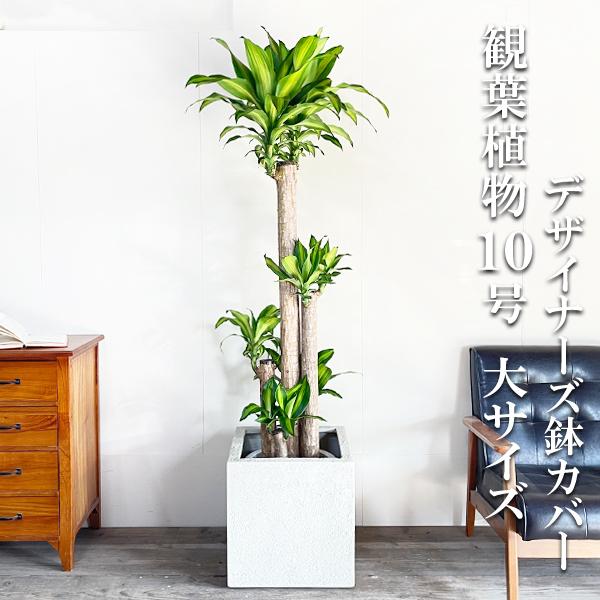 光触媒 人工観葉植物 ウォールグリーン フェイクグリーン 寄せ植え