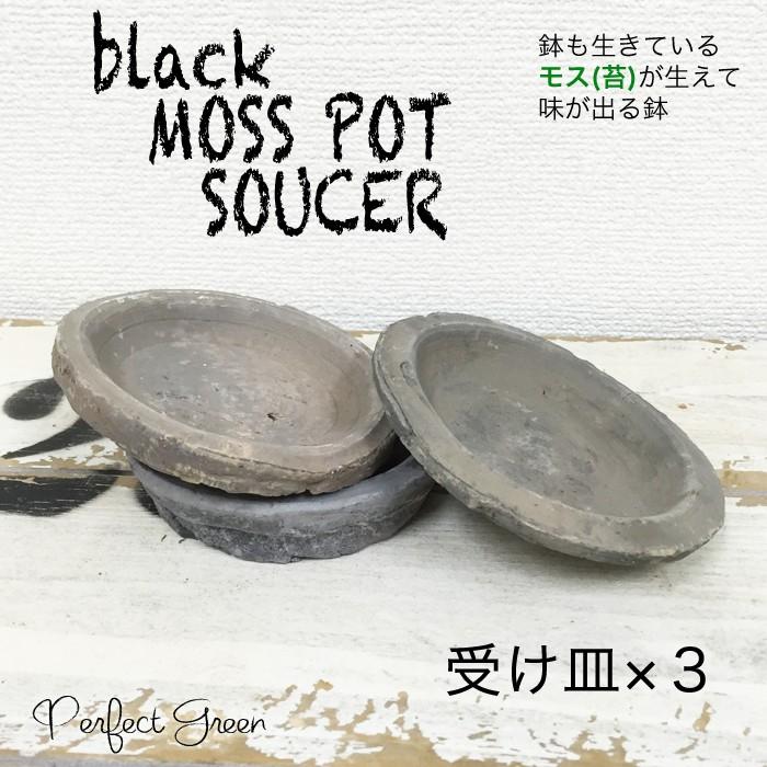 モスポット 受け皿 ブラック ３個 植木鉢 陶器鉢 ソーサー 黒色 黒 テラコッタ鉢 素焼き鉢 プランター おしゃれな植木鉢 Mossポット 送料無料 Mosbksoucer 観葉植物のパーフェクトグリーン 通販 Yahoo ショッピング