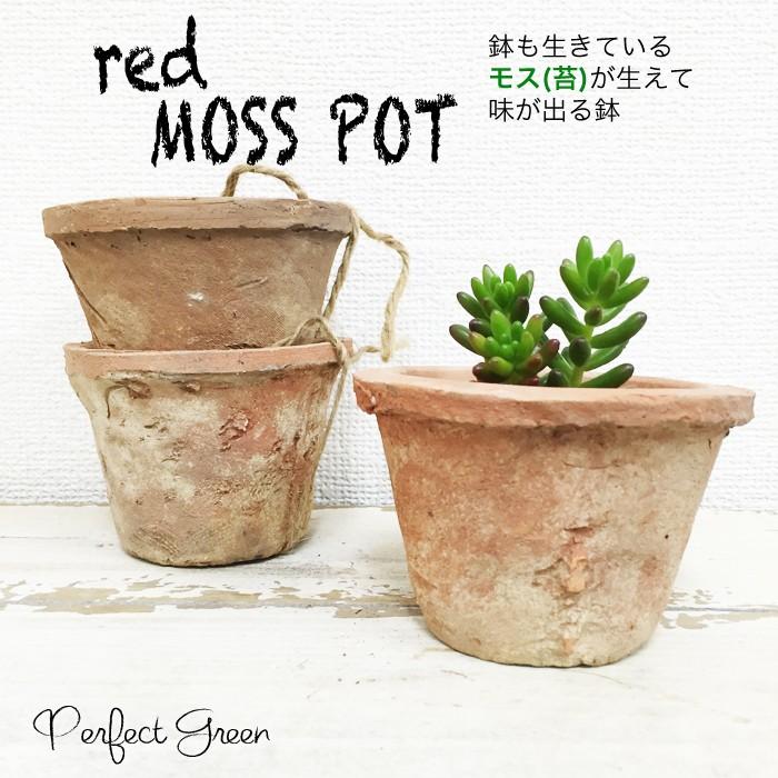 モスポット レッド3鉢 赤色 植木鉢 陶器鉢 テラコッタ鉢 素焼き鉢 鉢