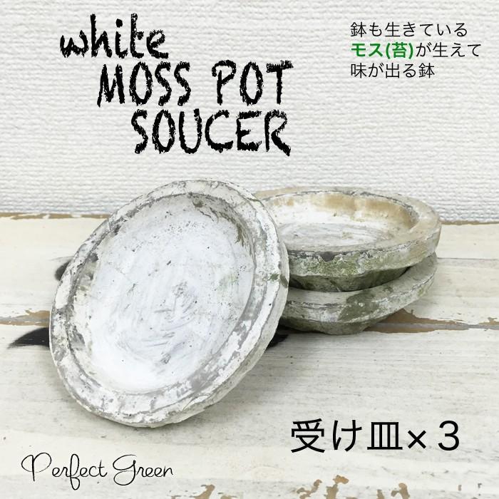 モスポット 受け皿 ホワイト 3個 植木鉢 陶器鉢 ソーサー 白色 白