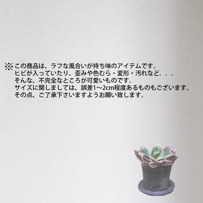 モスポット 受け皿 ホワイト 3個 植木鉢 陶器鉢 ソーサー 白色 白