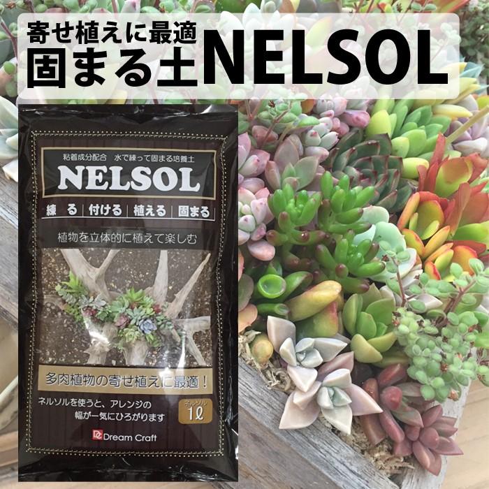 水で練って固まる培養土ネルソル Nelsol 1l Nelsol1 観葉植物のパーフェクトグリーン 通販 Yahoo ショッピング