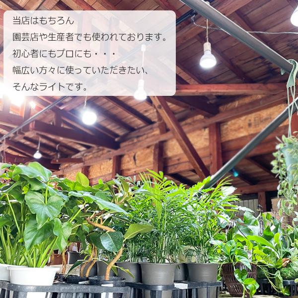 PLANTS NEXLIGHT 正規取扱店 ホワイト ブラック プランツ ネクス PLANTS NEXLIGHT 正規取扱店 ホワイト ブラック プランツ ネクス
