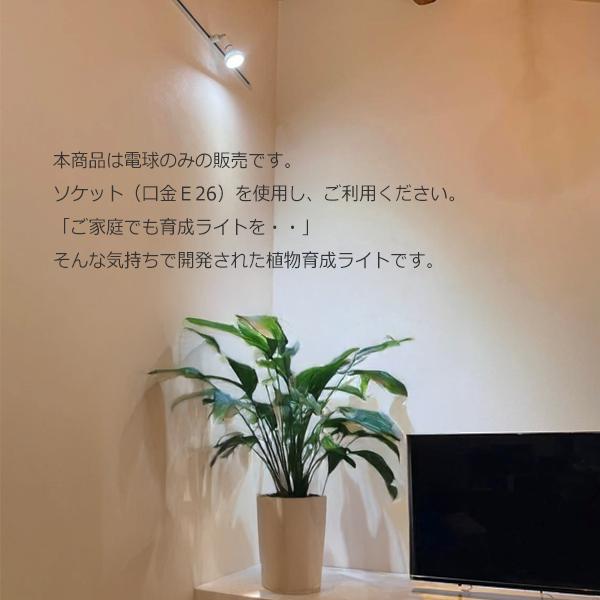 PLANTS NEXLIGHT 正規取扱店 ホワイト ブラック プランツ ネクス PLANTS NEXLIGHT 正規取扱店 ホワイト ブラック プランツ ネクス