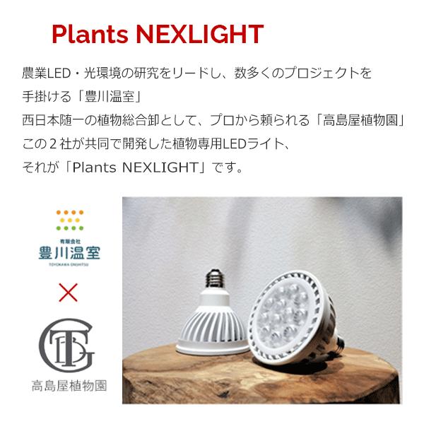 PLANTS NEXLIGHT 正規取扱店 ホワイト ブラック プランツ ネクスライト 観葉植物 育成ライト LED 室内ライト プランツネクスライト E26 送料無料 即日出荷｜pg869｜15