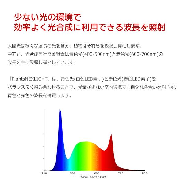 PLANTS NEXLIGHT 正規取扱店 ホワイト ブラック プランツ ネクスライト 観葉植物 育成ライト LED 室内ライト プランツネクスライト E26 送料無料 即日出荷｜pg869｜14