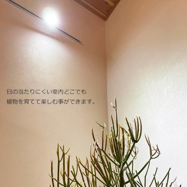 PLANTS NEXLIGHT 2カラー プランツ ネクスライト 観葉植物 育成ライト 園芸店が使うライト LED 室内ライト プランツネクスライト 送料無料｜pg869｜11