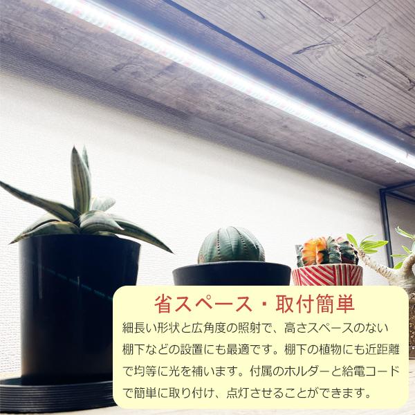 PLANTS NEXLIGHT TUBE チューブ 正規取扱店 白色光 ネクスライト 観葉植物 育成ライト LED 室内ライト プランツネクスライト 送料無料 即日出荷｜pg869｜06