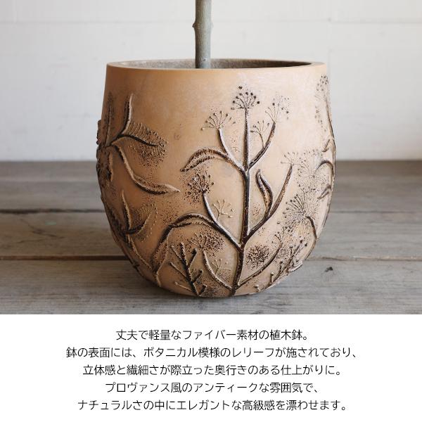 オリーブ ファイバー鉢植え アンティークフレンチ 送料無料 オリーブの