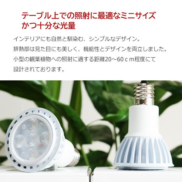 植物育成ライト PLANTS NEXLIGHT 正規取扱店 mini PAR16 5w 1点 観葉植物 育成ライト