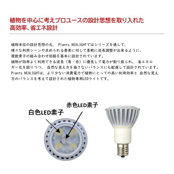 【2セット】PLANTS NEXLIGHT 　 観葉植物 育成ライト　LED 楽天市場】観葉植物 育成ライト ミニ 2点セット 正規取扱い店