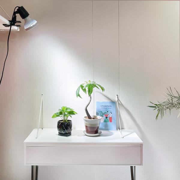 クリップソケット PLAAREA socket E26 LED電球専用 正規取扱店