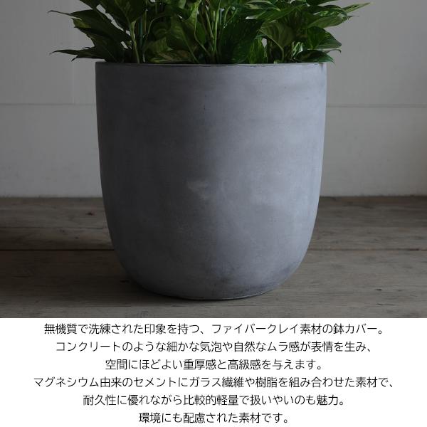 ポトス 特大 タワー仕立て 観葉植物 10号 大型 ラウンド型 高級鉢カバー付 アッシュグレー ファイバー樹脂製 おしゃれ 鉢植え 本物 大きい |  | 04