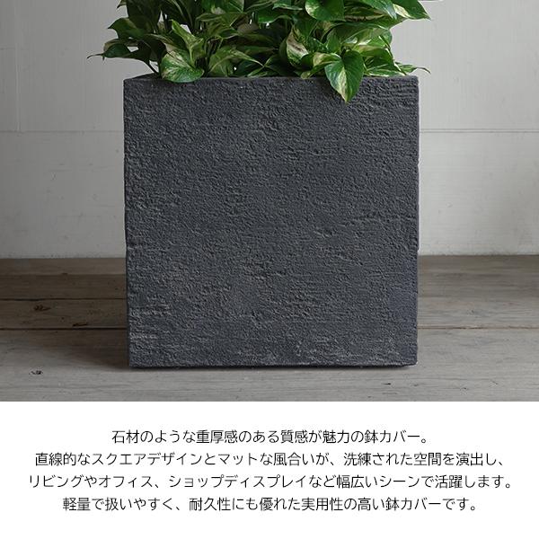 ポトス 観葉植物 10号 大型 タワー仕立て キューブ型 高級鉢カバー付