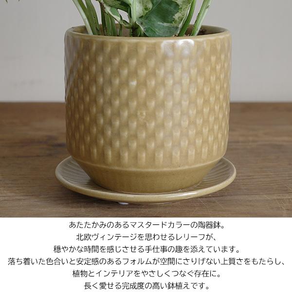 ポトス エンジョイ陶器鉢植え 北欧ヴィンテージ風 マスタード 観葉植物