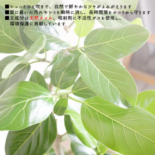 フルール アミ リーフシャイン 葉面洗浄 750ml 観葉植物 送料無料 即日