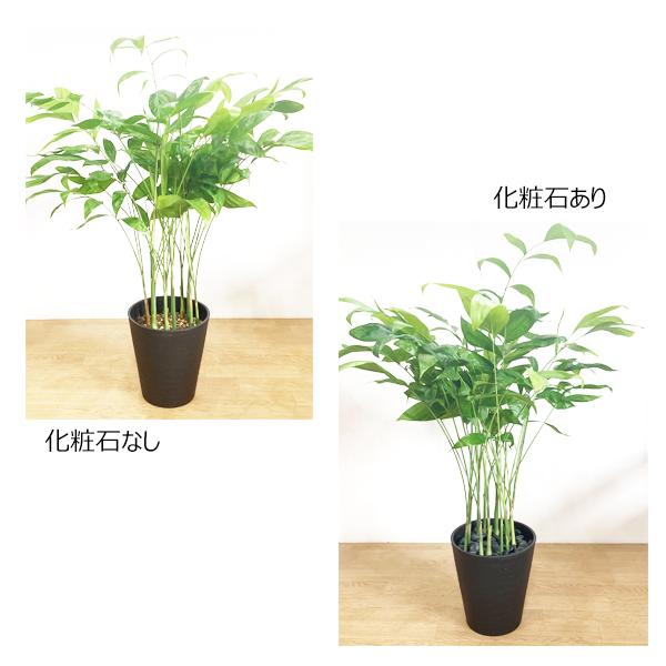 リサイクルストーン ブラック 1袋 送料無料 化粧石 飾り石 マルチングストーン マルチング 鉢土隠し サステナブル サスティナブル Recyclestonebk 観葉植物のパーフェクトグリーン 通販 Yahoo ショッピング