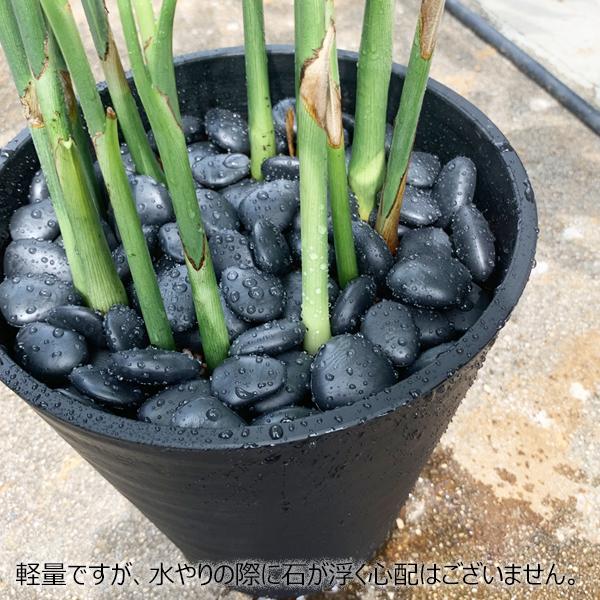 リサイクルストーン ブラック 1袋 送料無料 化粧石 飾り石 マルチングストーン マルチング 鉢土隠し サステナブル サスティナブル Recyclestonebk 観葉植物のパーフェクトグリーン 通販 Yahoo ショッピング