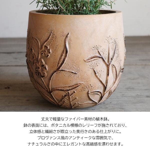 ローズマリー 立性 ファイバーセメント鉢植え アンティークフレンチ
