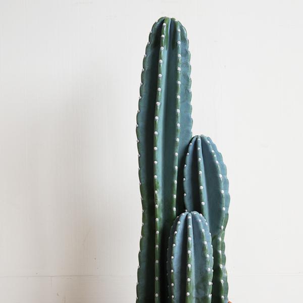 柱サボテンまとめ売り 13本 柱サボテンまとめ売り 13本