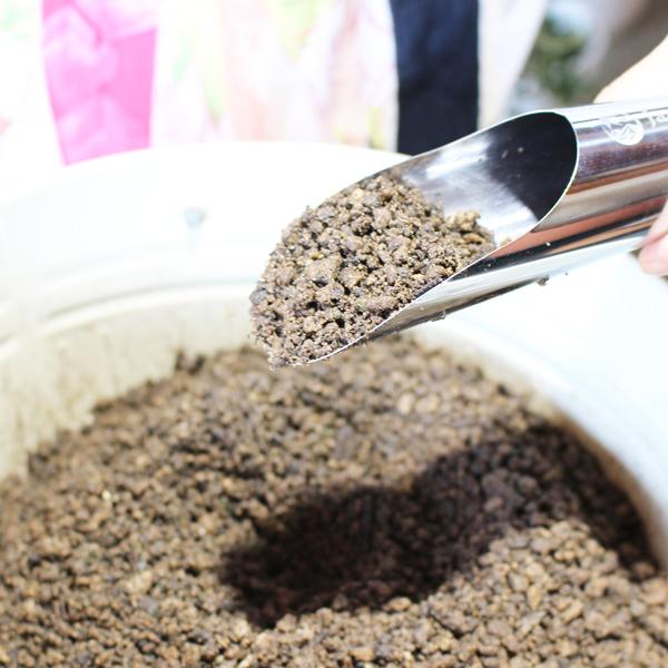 スコップ 園芸 小型 ステンレス おしゃれ 植え替え 観葉植物 アガベ サボテン 多肉 |  | 01