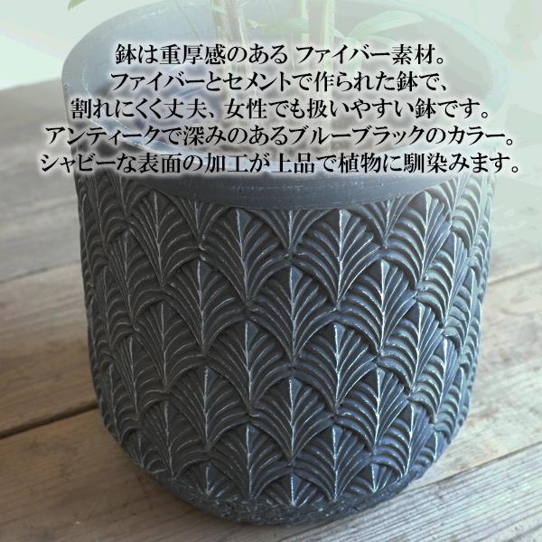 シュロチク ファイバー鉢 お皿付き 棕櫚竹 シュロチク ファイバーセメント鉢カバー付 ブルーブラック 寒さ