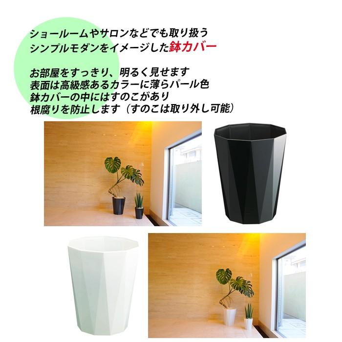 現物 フィカス ソフィア スタイリッシュな鉢カバー付 大型 観葉植物 送料無料 Sofiagenbutu 観葉植物のパーフェクトグリーン 通販 Yahoo ショッピング