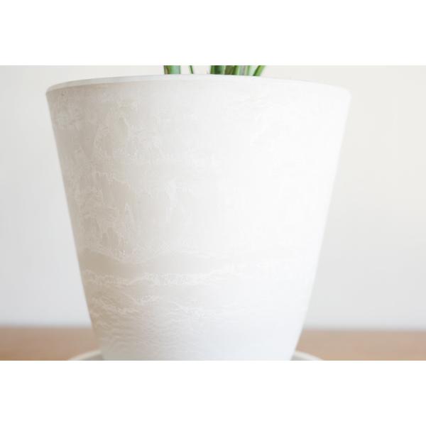 テーブルヤシ エレガンス 選べる鉢カラー ボタニーポット 観葉植物 卓上 本物 チャメドレア インテリア 中型 オフィス デスク 即日出荷 送料無料 |  | 08