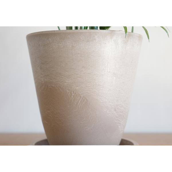 テーブルヤシ エレガンス 選べる鉢カラー ボタニーポット 観葉植物 卓上 本物 チャメドレア インテリア 中型 オフィス デスク 即日出荷 送料無料 |  | 09