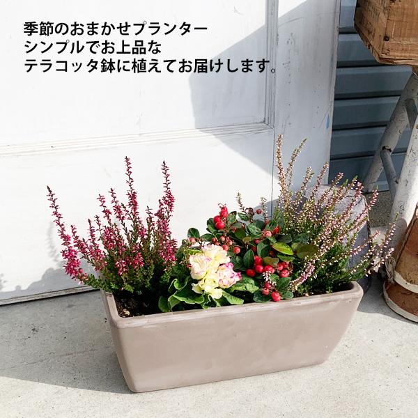 激安通販新作 送料込 イタリア製 大型 スクエア テラコッタ鉢 寄せ植えガーデニング フラワー ガーデン Hlt No