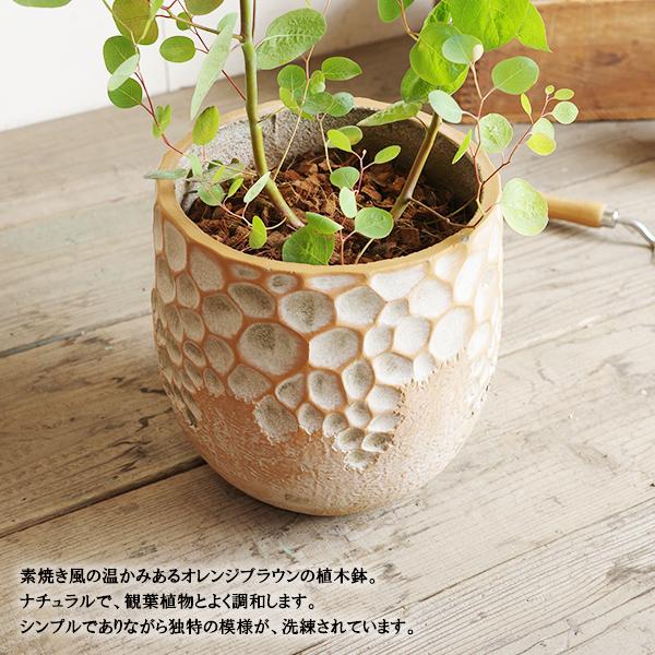 ユーカリ ファイバー鉢植え オレンジブラウン 素焼風 送料無料