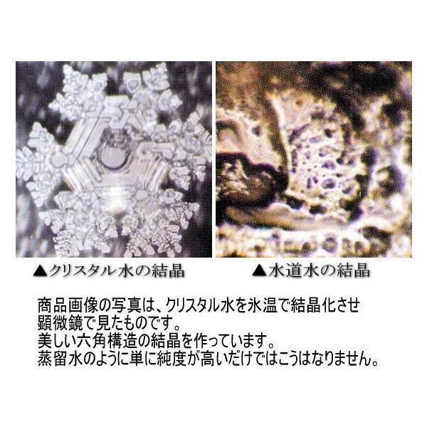 プロテオグリカンたっぷり配合 さらさら髪を実感 Pgシャンプー 1 キャセオン 通販 Yahoo ショッピング